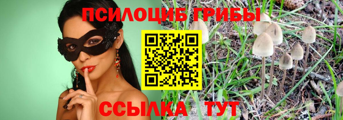 Псилоцибиновые грибы мухоморы Унеча